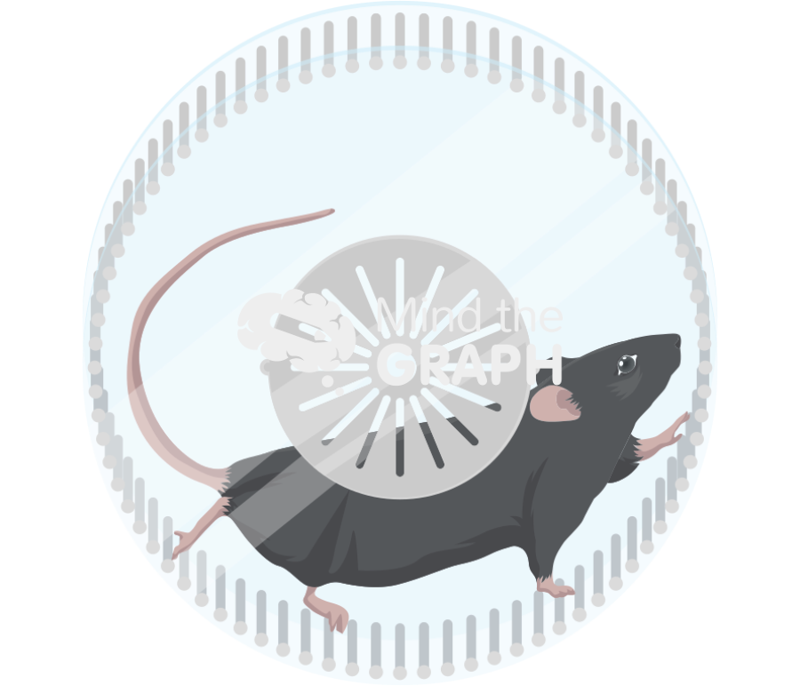 C57bl6 running forced exercise wheel Icons, Symbols, Pictures, and Images