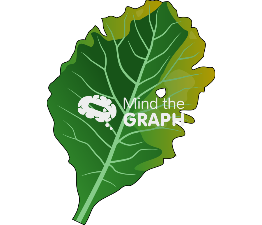 Cabbage leaf xanthomonas campestris infection Icons, Symbols, Pictures, and Images