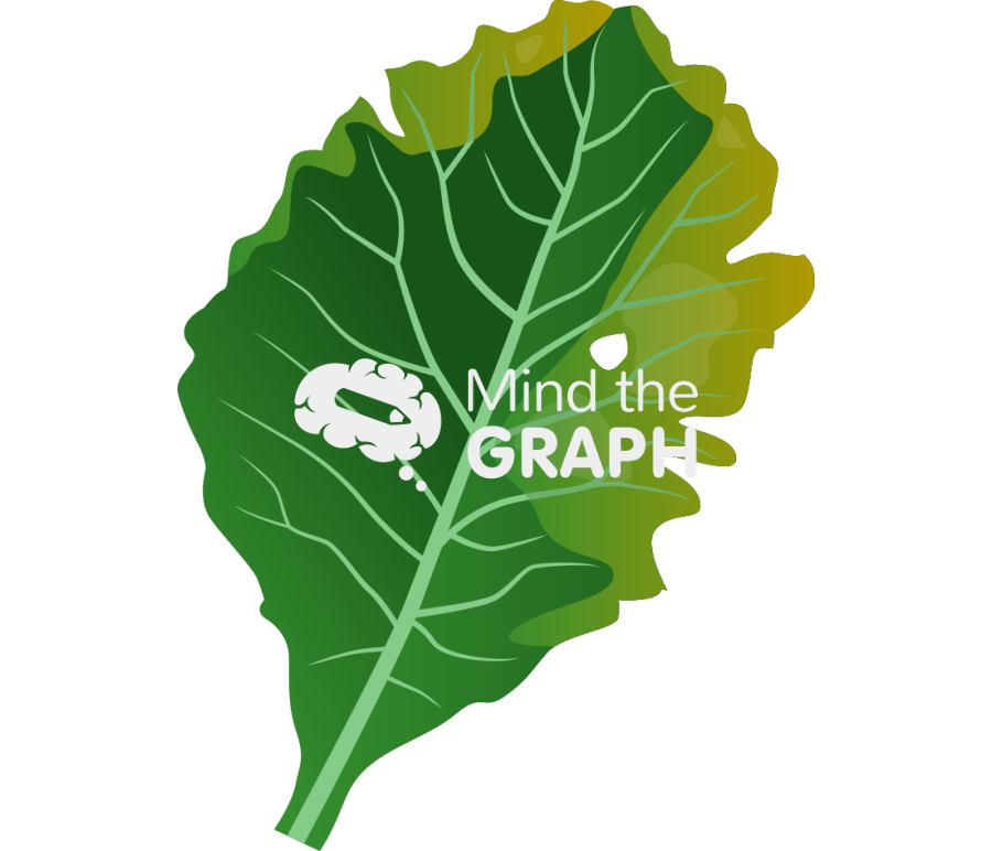 Cabbage leaf xanthomonas campestris infection Icons, Symbols, Pictures, and Images