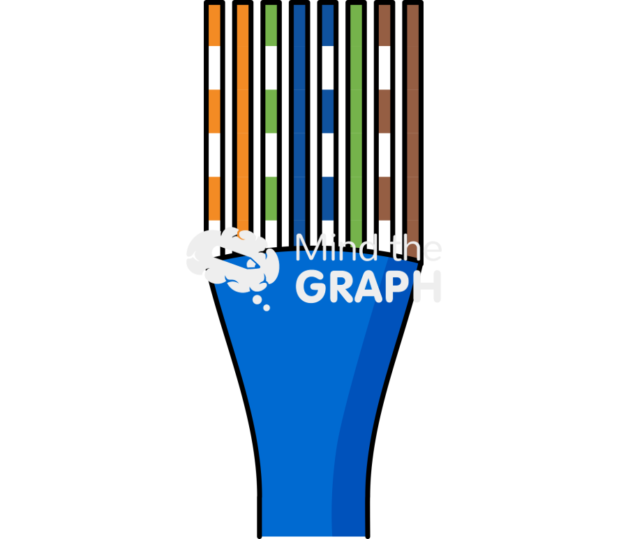 Cable network 568b Icons, Symbols, Pictures, and Images