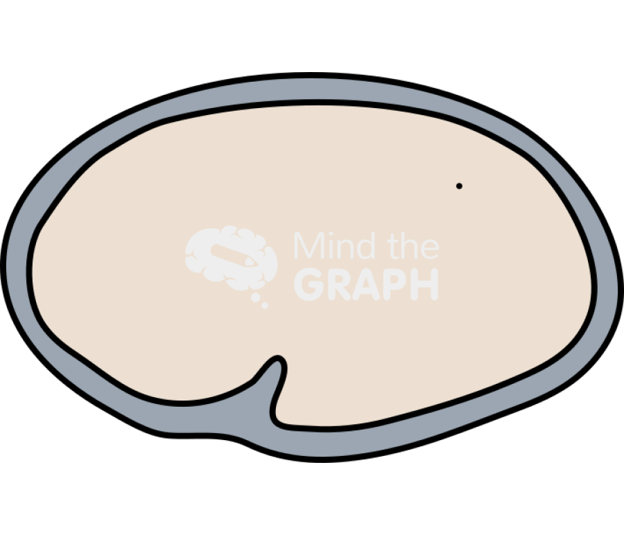 Caenorhabditis elegans embryonic 3 Icons, Symbols, Pictures, and Images