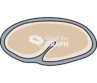 Caenorhabditis elegans embryonic 4 - Edit and Customize Icons of Caenorhabditis elegans embryonic 4 Caenorhabditis elegans embryonic 4 Icons, Symbols, Pictures, and Images