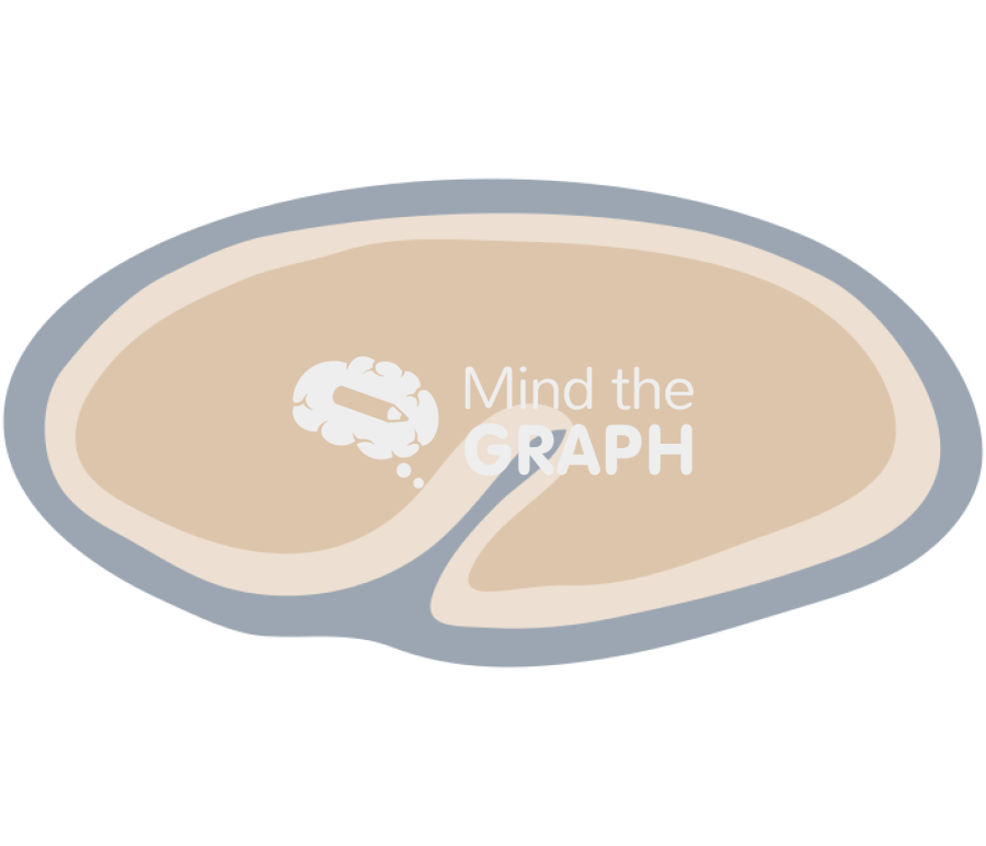 Caenorhabditis elegans embryonic 4 Icons, Symbols, Pictures, and Images