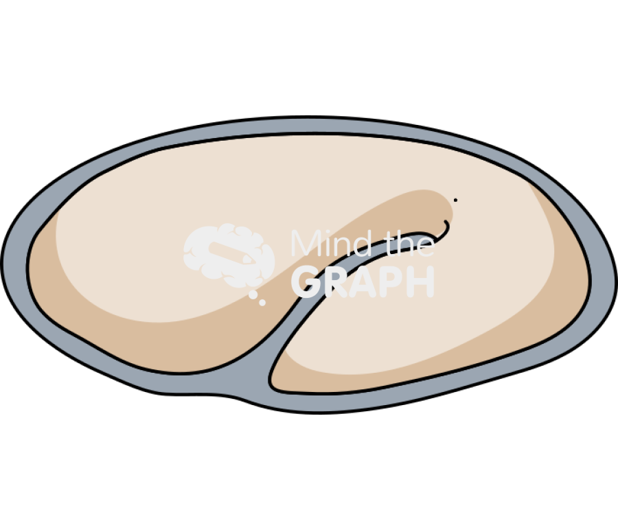 Caenorhabditis elegans embryonic 5 Icons, Symbols, Pictures, and Images