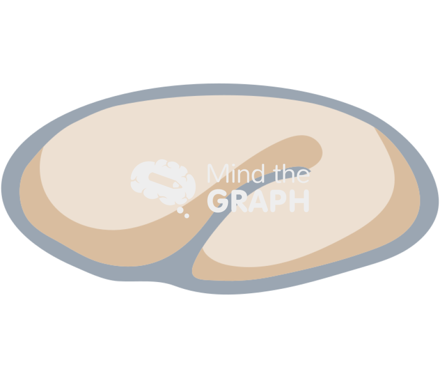 Caenorhabditis elegans embryonic 5 Icons, Symbols, Pictures, and Images