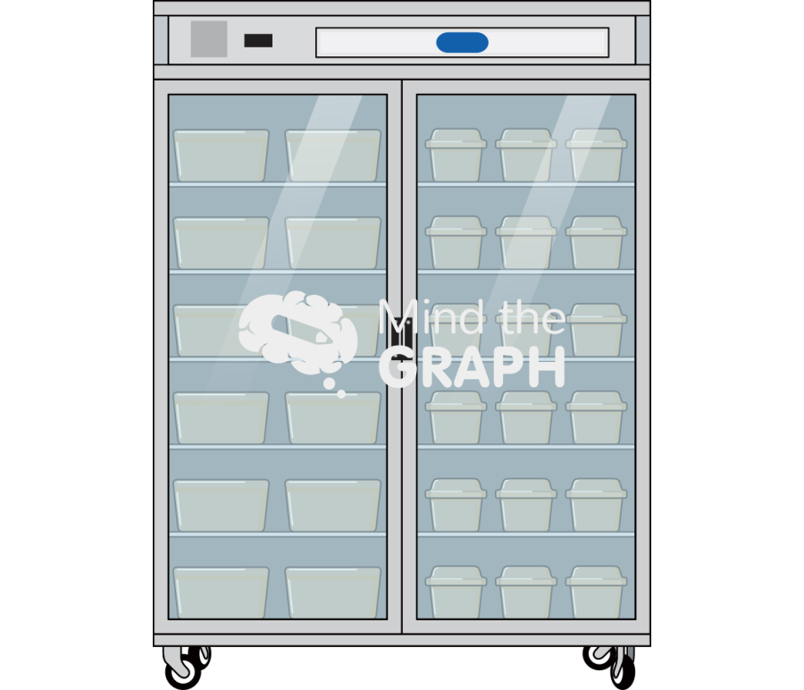 Cage rack 2 portas Icons, Symbols, Pictures, and Images