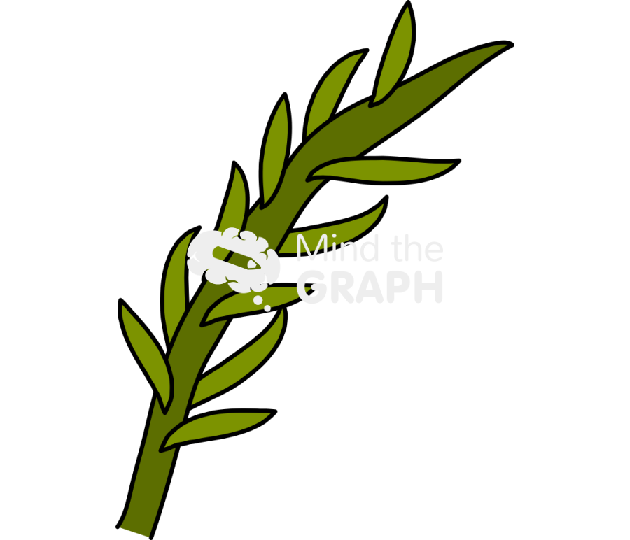 Calluna vulgaris leaf Icons, Symbols, Pictures, and Images