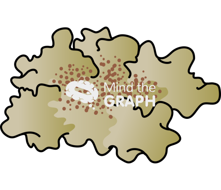 Callus clumps no structures Icons, Symbols, Pictures, and Images