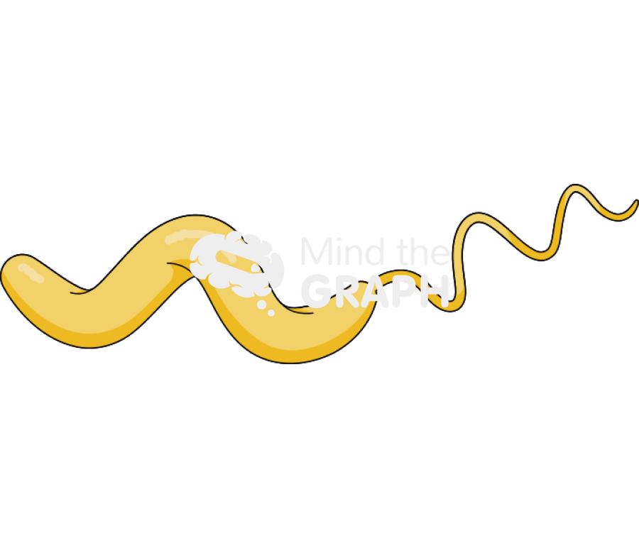 Campylobacter jenuni bacteria Icons, Symbols, Pictures, and Images