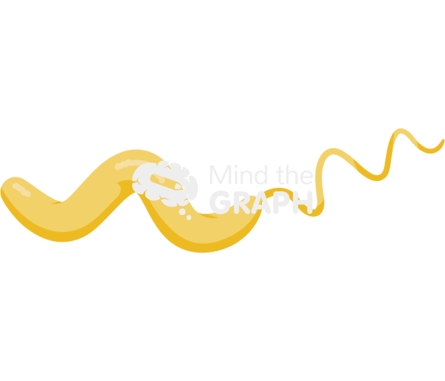 Campylobacter jenuni bacteria Icons, Symbols, Pictures, and Images