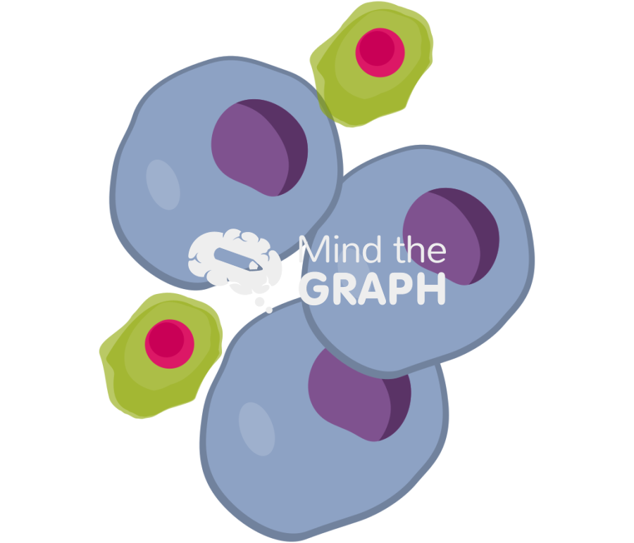 Cancer cell apoptosis 1 Icons, Symbols, Pictures, and Images