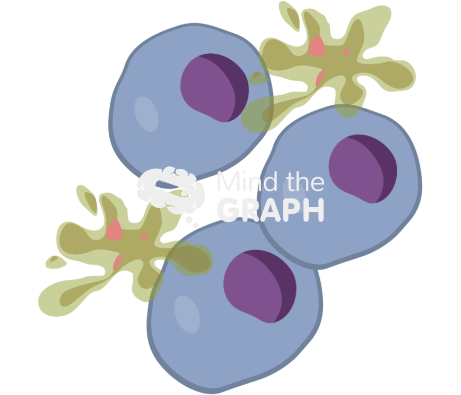 Cancer cell apoptosis 2 Icons, Symbols, Pictures, and Images