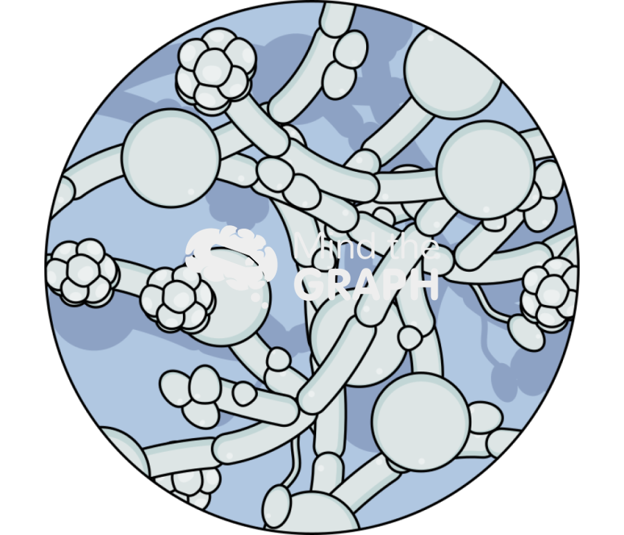 Candida albicans fungi zoom Icons, Symbols, Pictures, and Images
