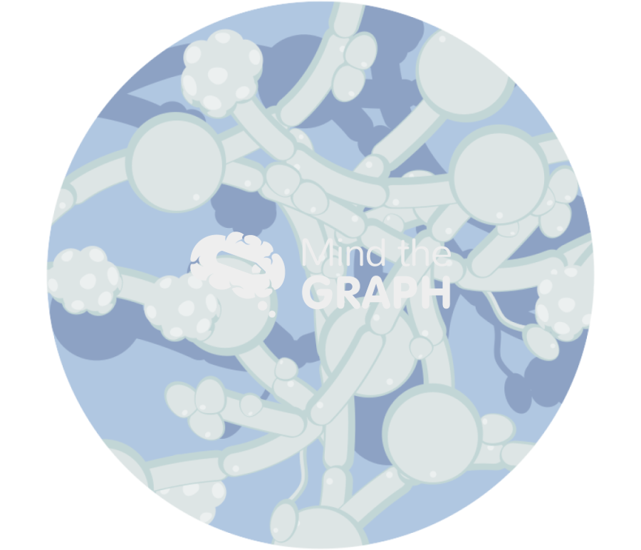 Candida albicans fungi zoom Icons, Symbols, Pictures, and Images