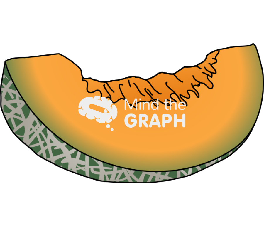 Cantaloupe melon slice Icons, Symbols, Pictures, and Images