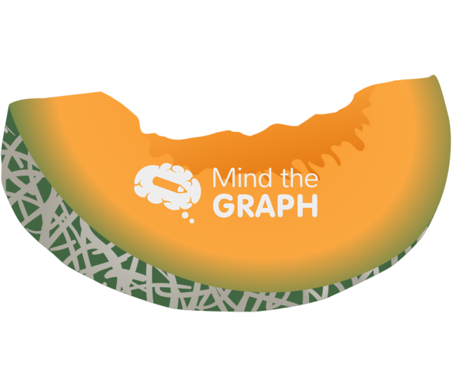 Cantaloupe melon slice Icons, Symbols, Pictures, and Images