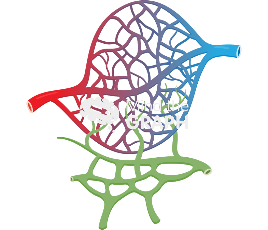 Capillaries lymphatic Icons, Symbols, Pictures, and Images