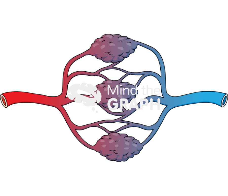 Capillary malformation carvernous Icons, Symbols, Pictures, and Images