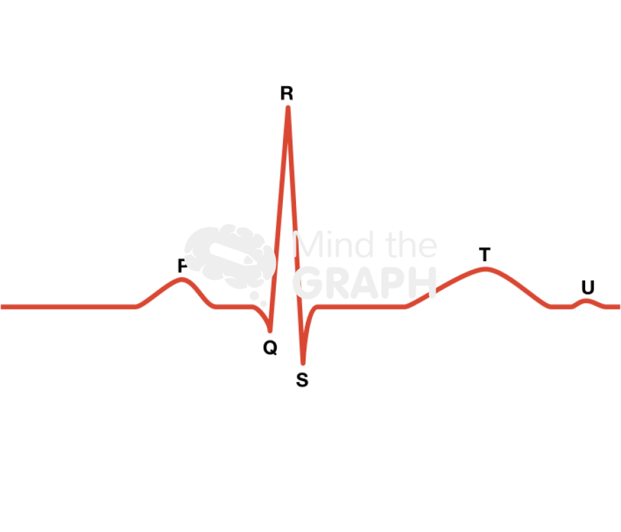Cardiac cycle electrocardiograma 1 Icons, Symbols, Pictures, and Images