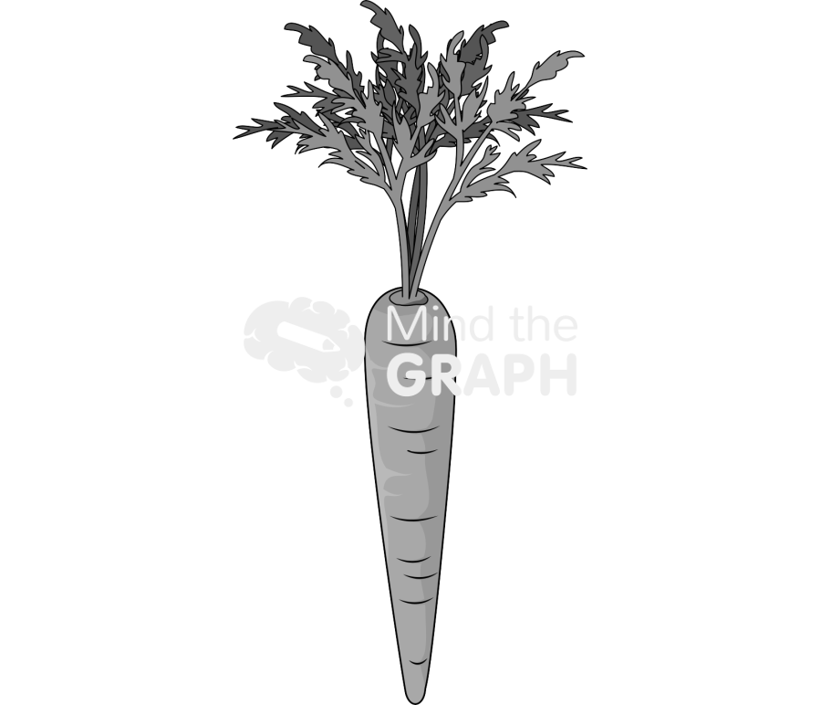 Carrot Icons, Symbols, Pictures, and Images
