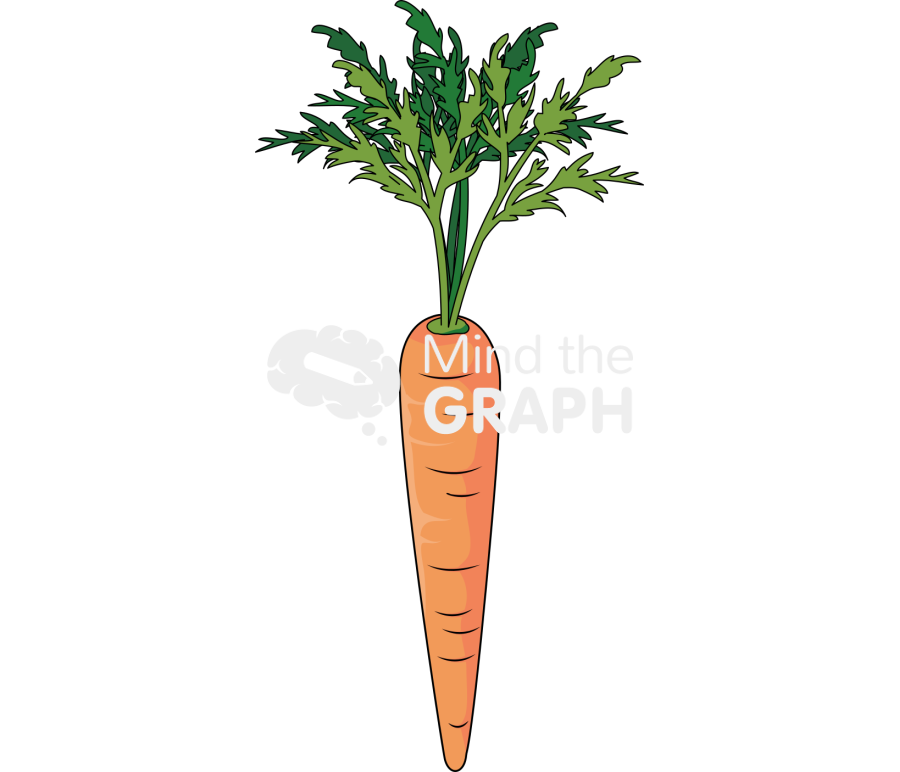 Carrot Icons, Symbols, Pictures, and Images