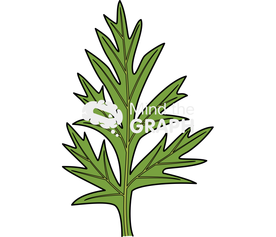 Carrot leaf 1 Icons, Symbols, Pictures, and Images