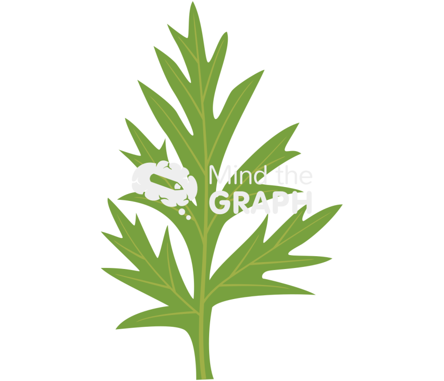 Carrot leaf 1 Icons, Symbols, Pictures, and Images