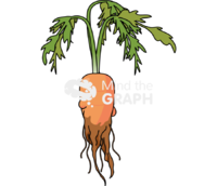 Carrot nematode 2 Icons, Symbols, Pictures, and Images