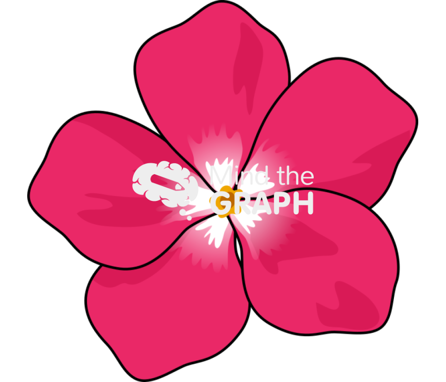 Catharanthus ovalis front Icons, Symbols, Pictures, and Images