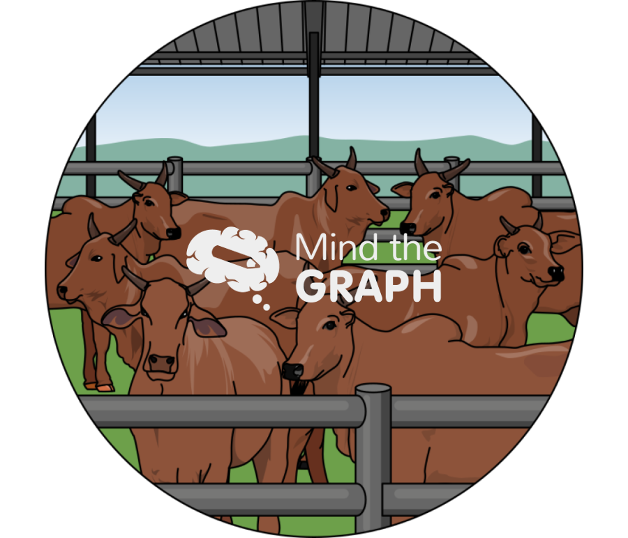 Cattle shelter zoom Icons, Symbols, Pictures, and Images