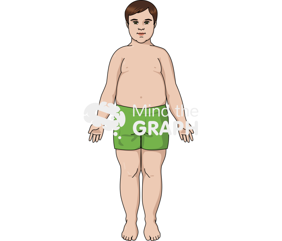 Caucasian boy fat anatomic front Icons, Symbols, Pictures, and Images