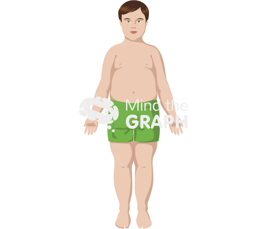 Caucasian boy fat anatomic front Icons, Symbols, Pictures, and Images