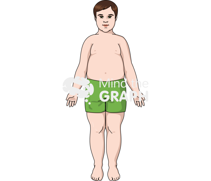 Caucasian white boy fat anatomic front Icons, Symbols, Pictures, and Images