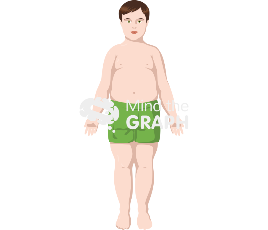Caucasian white boy fat anatomic front Icons, Symbols, Pictures, and Images
