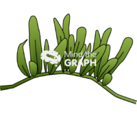 Caulerpa brachypus Icons, Symbols, Pictures, and Images