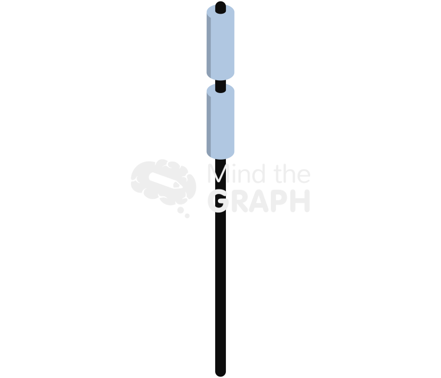 Cd4 immune receptor perspective Icons, Symbols, Pictures, and Images