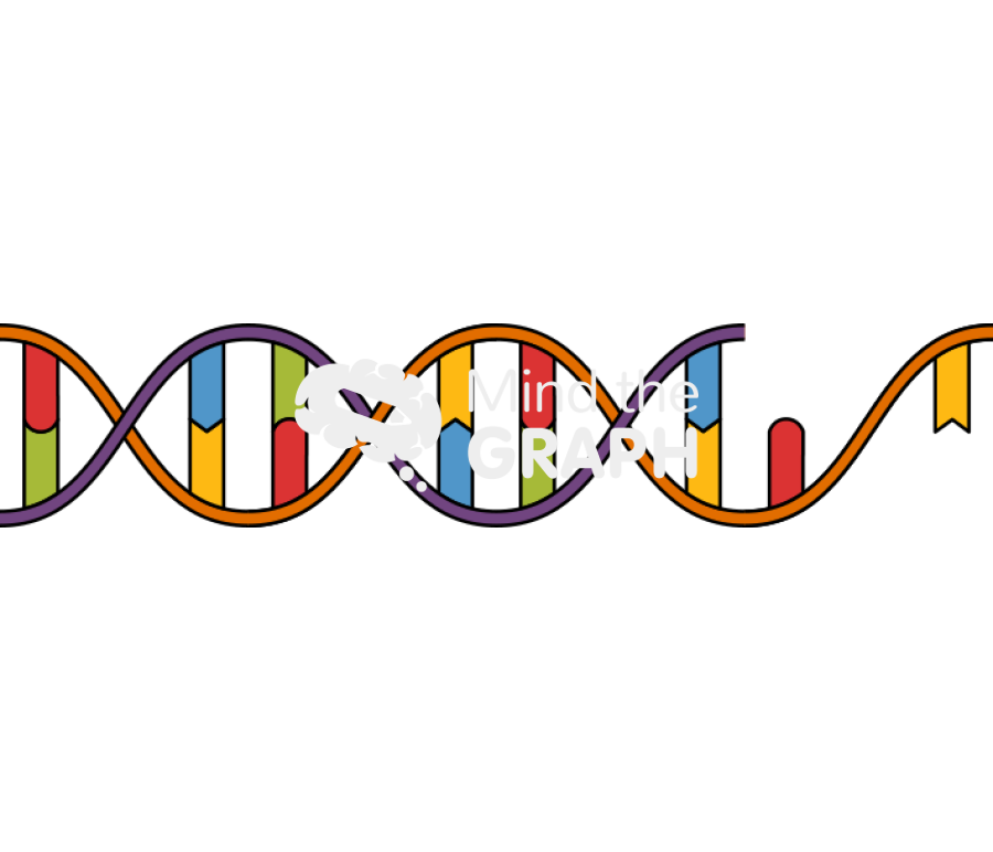 Cdna double helix Icons, Symbols, Pictures, and Images