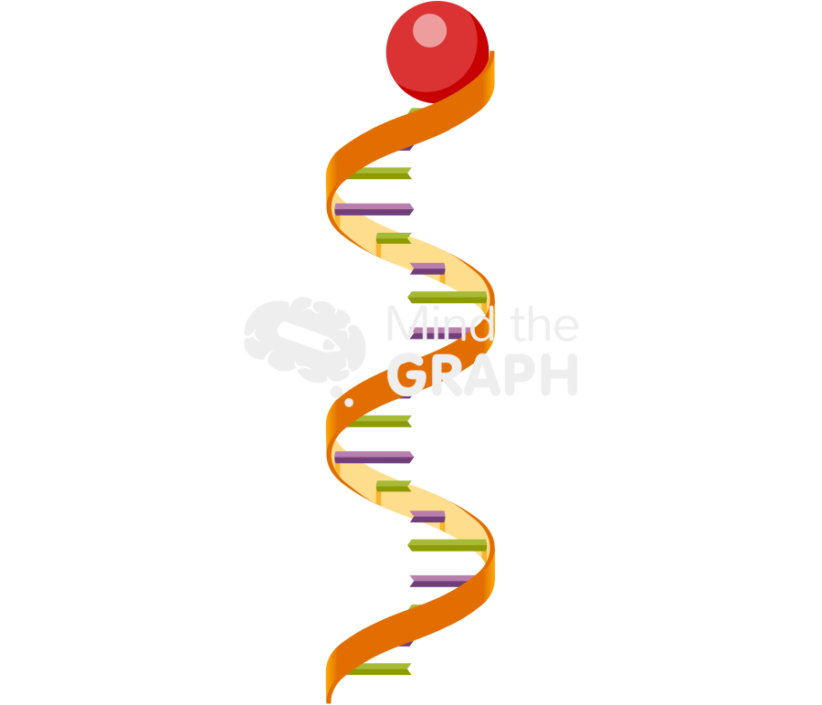 Cdna probe Icons, Symbols, Pictures, and Images