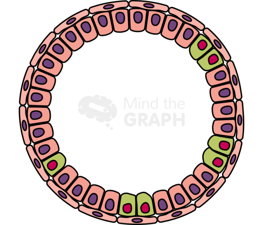 Cancer cell progression 2 Icons, Symbols, Pictures, and Images