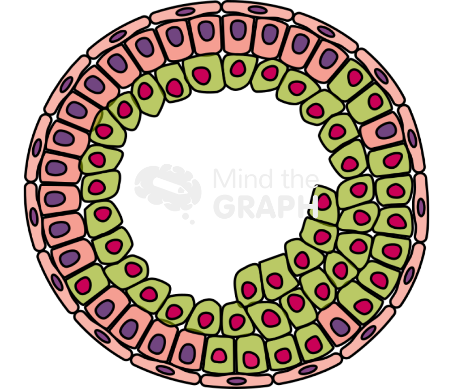 Cancer cell progression 3 Icons, Symbols, Pictures, and Images