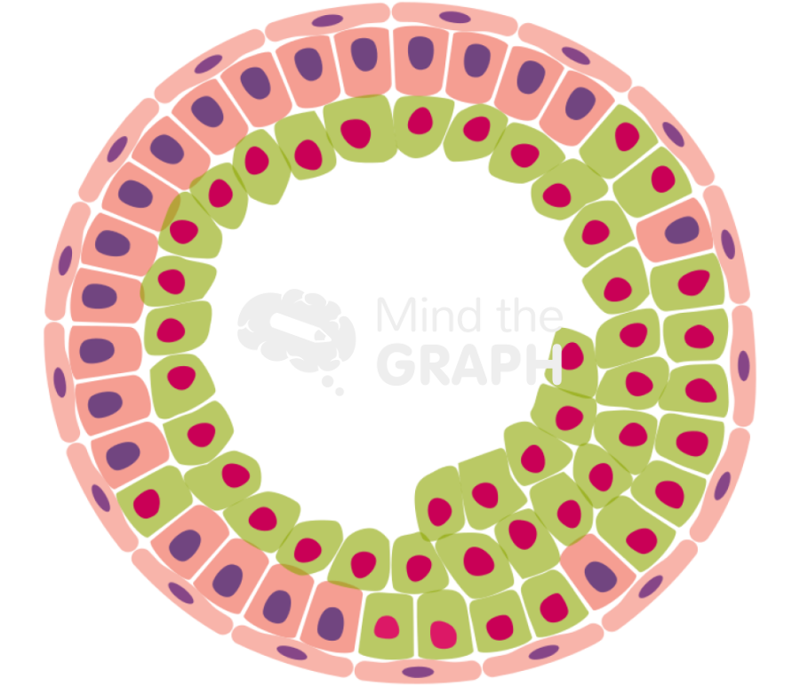 Cancer cell progression 3 Icons, Symbols, Pictures, and Images