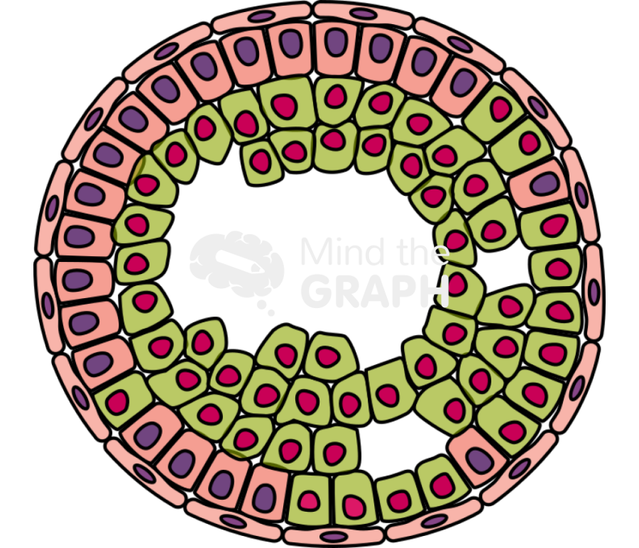 Cancer cell progression 5 Icons, Symbols, Pictures, and Images