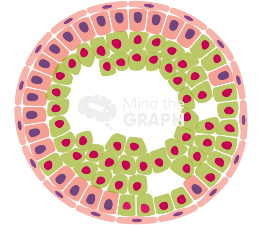 Cancer cell progression 5 Icons, Symbols, Pictures, and Images