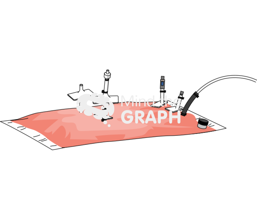 Cell culture bag Icons, Symbols, Pictures, and Images