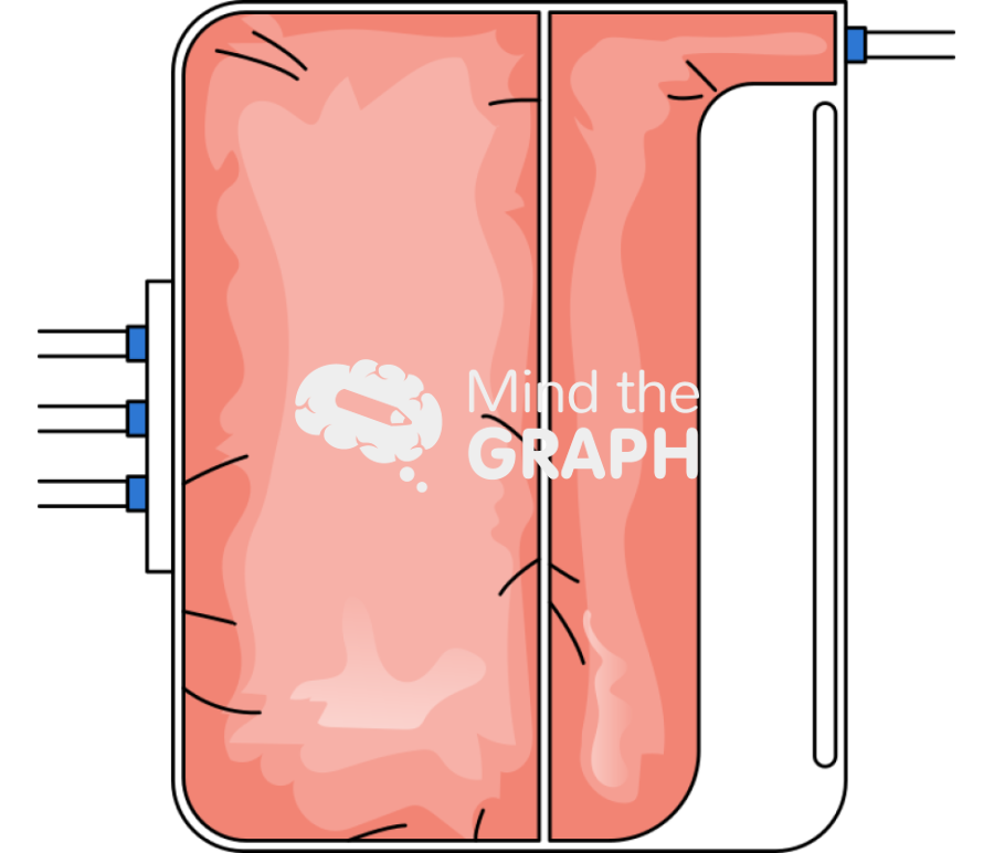Cell culture bag front Icons, Symbols, Pictures, and Images