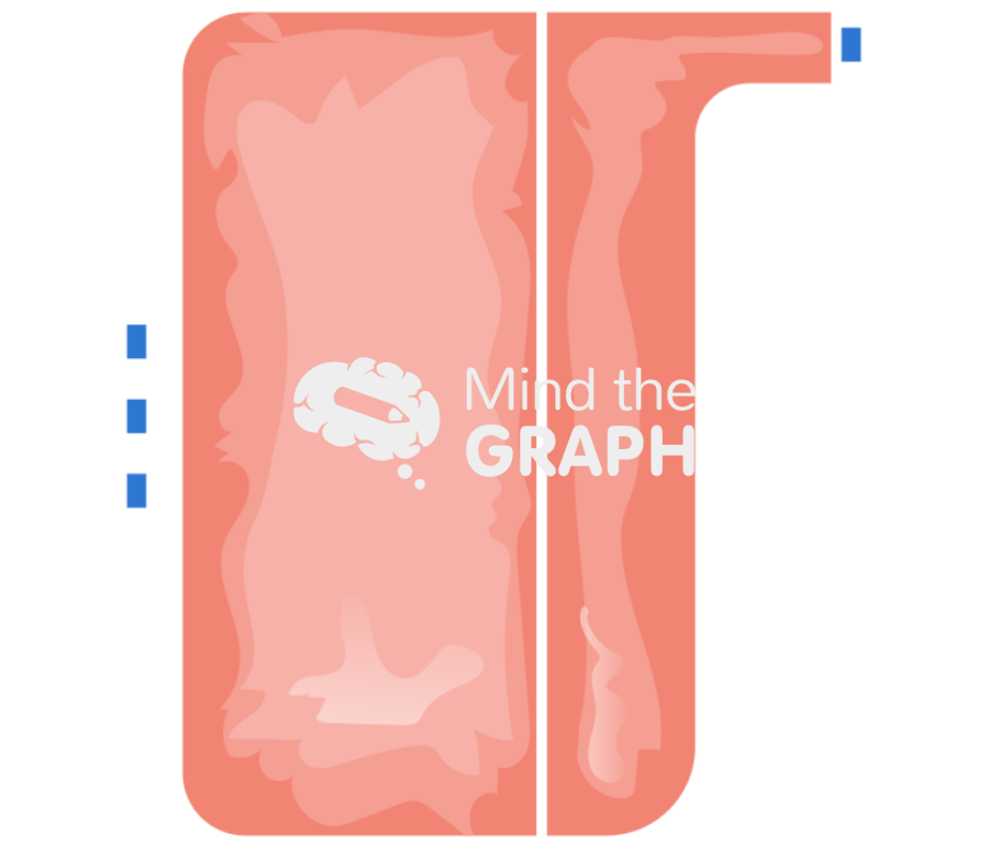 Cell culture bag front Icons, Symbols, Pictures, and Images