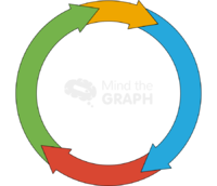 Cell cycle stages Icons, Symbols, Pictures, and Images