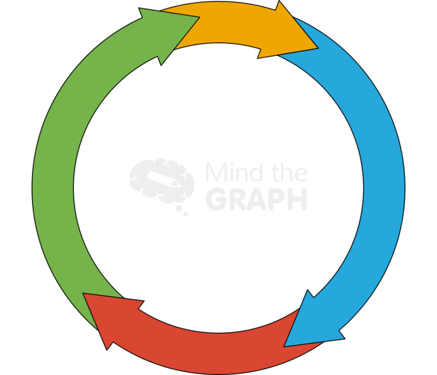Cell cycle stages Biology Diagrams