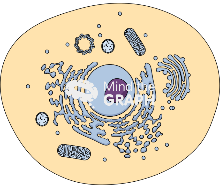 Cell mitochondria normal Icons, Symbols, Pictures, and Images