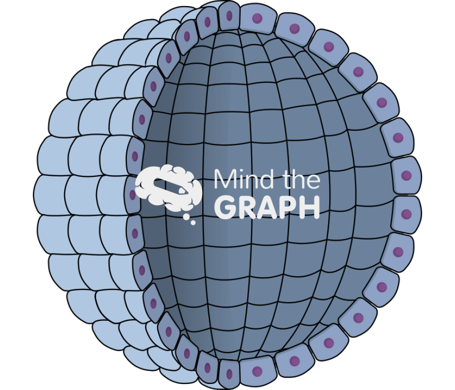 Cell sferoid Icons, Symbols, Pictures, and Images